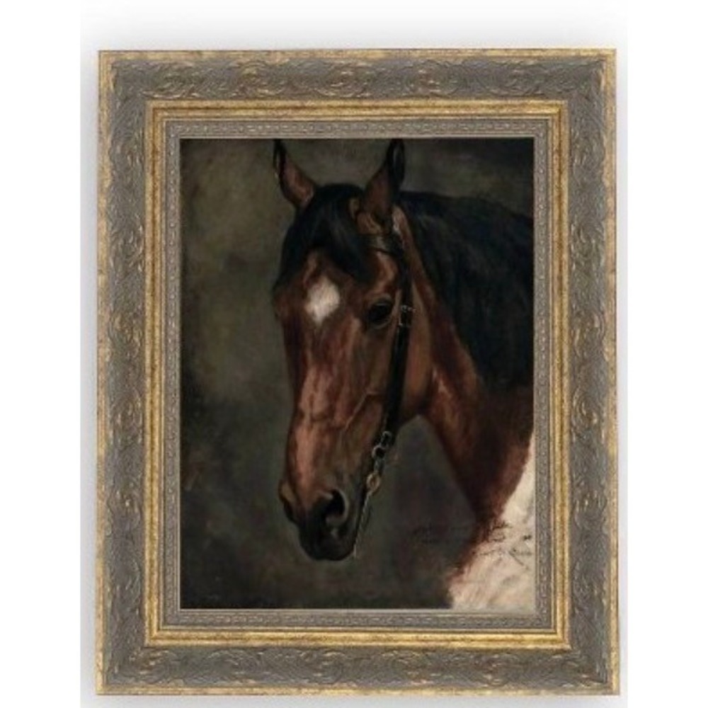 Petal Lane Home Horse Portrait Framed Wall Art Equestrian Gold Silver 12x16 NEW